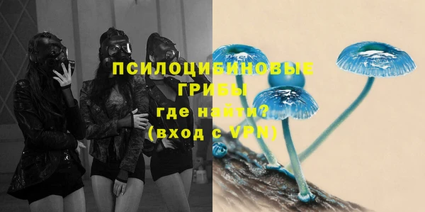 бутират Алексин