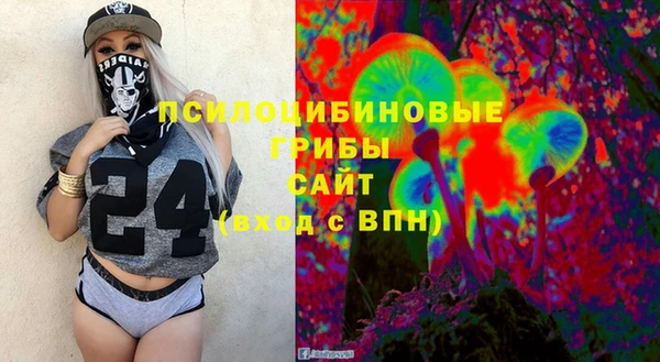 ПСИЛОЦИБИНОВЫЕ ГРИБЫ Абдулино
