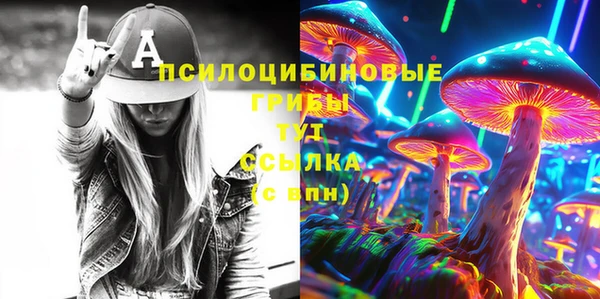 ПСИЛОЦИБИНОВЫЕ ГРИБЫ Абдулино