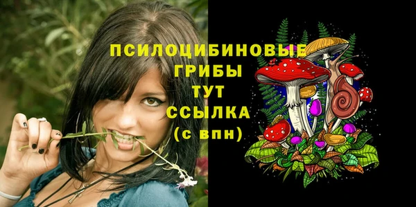 прущий лед Нязепетровск