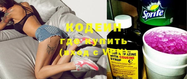 индика Няндома