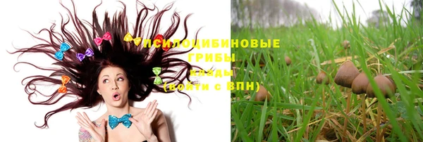 ПСИЛОЦИБИНОВЫЕ ГРИБЫ Абдулино