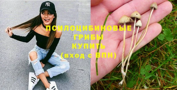 синтетический гашиш Абинск