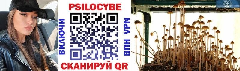 Псилоцибиновые грибы Magic Shrooms  где купить наркоту  darknet официальный сайт  Отрадное 